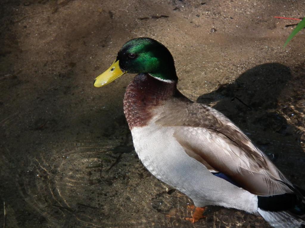 מלון São Pedro do Sul Casa Dos Moinhos Do Chao Do Mosteiro חדר תמונה